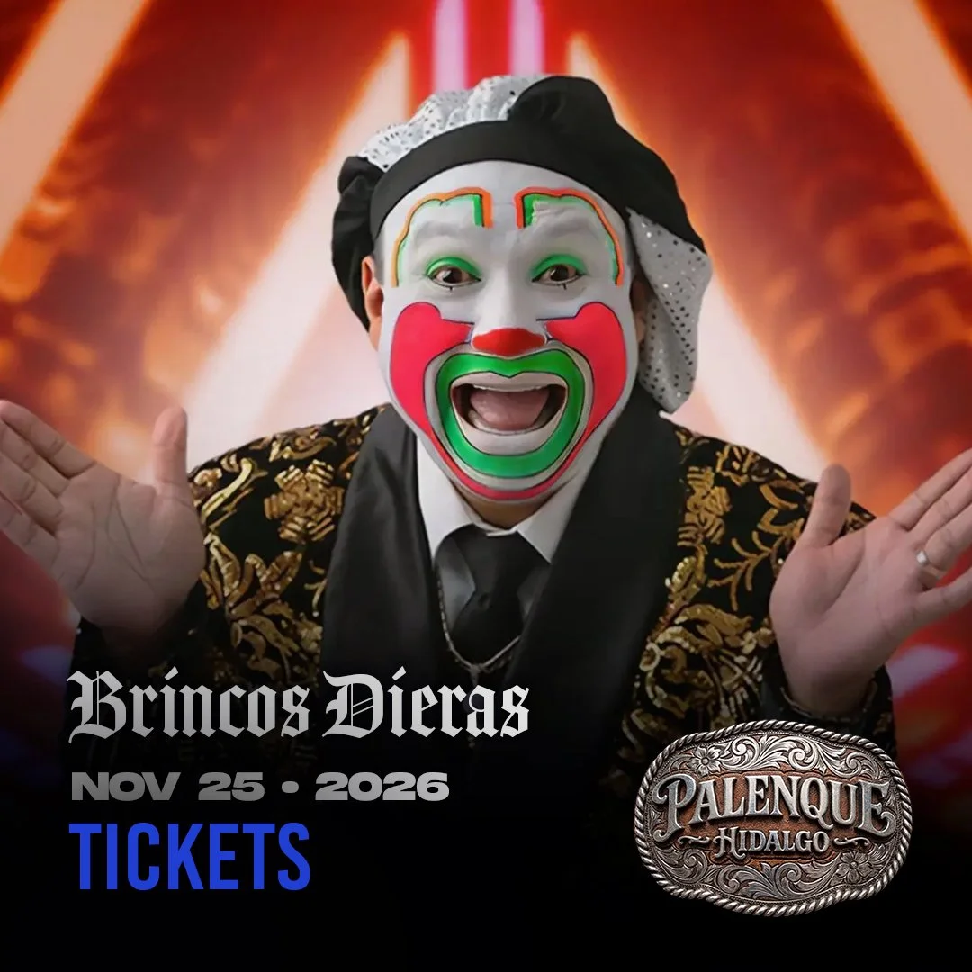 Brincos Dieras WEBSITE.jpg
