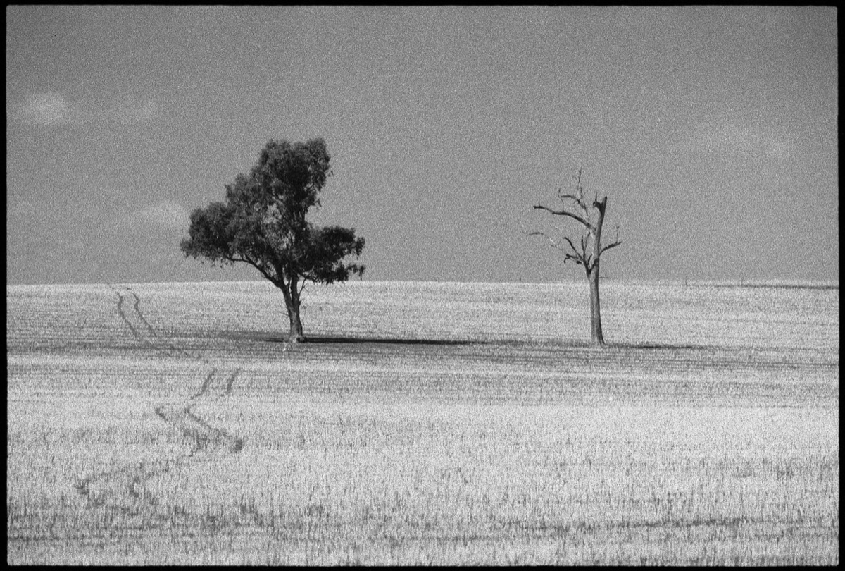 TOAFM-5-Menindee-RT17_130.jpg