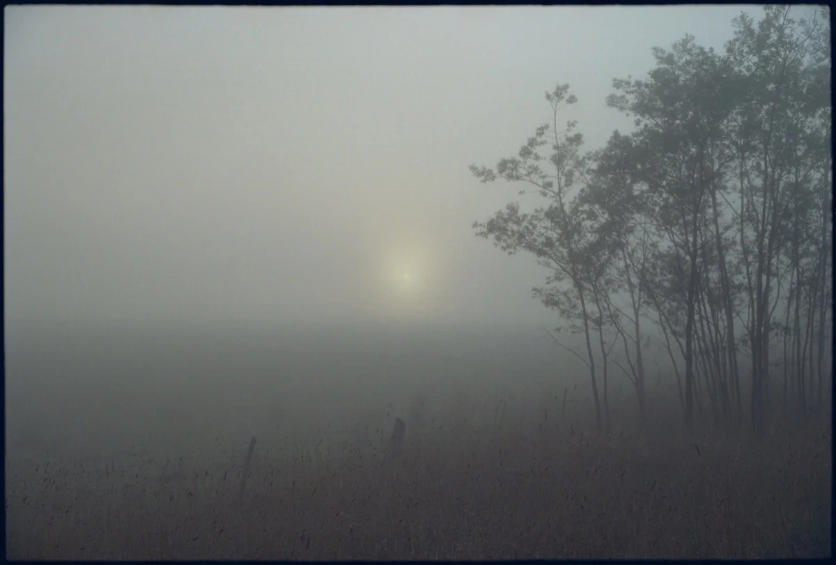 TOAFM-10-Menindee-RT17_065.jpg
