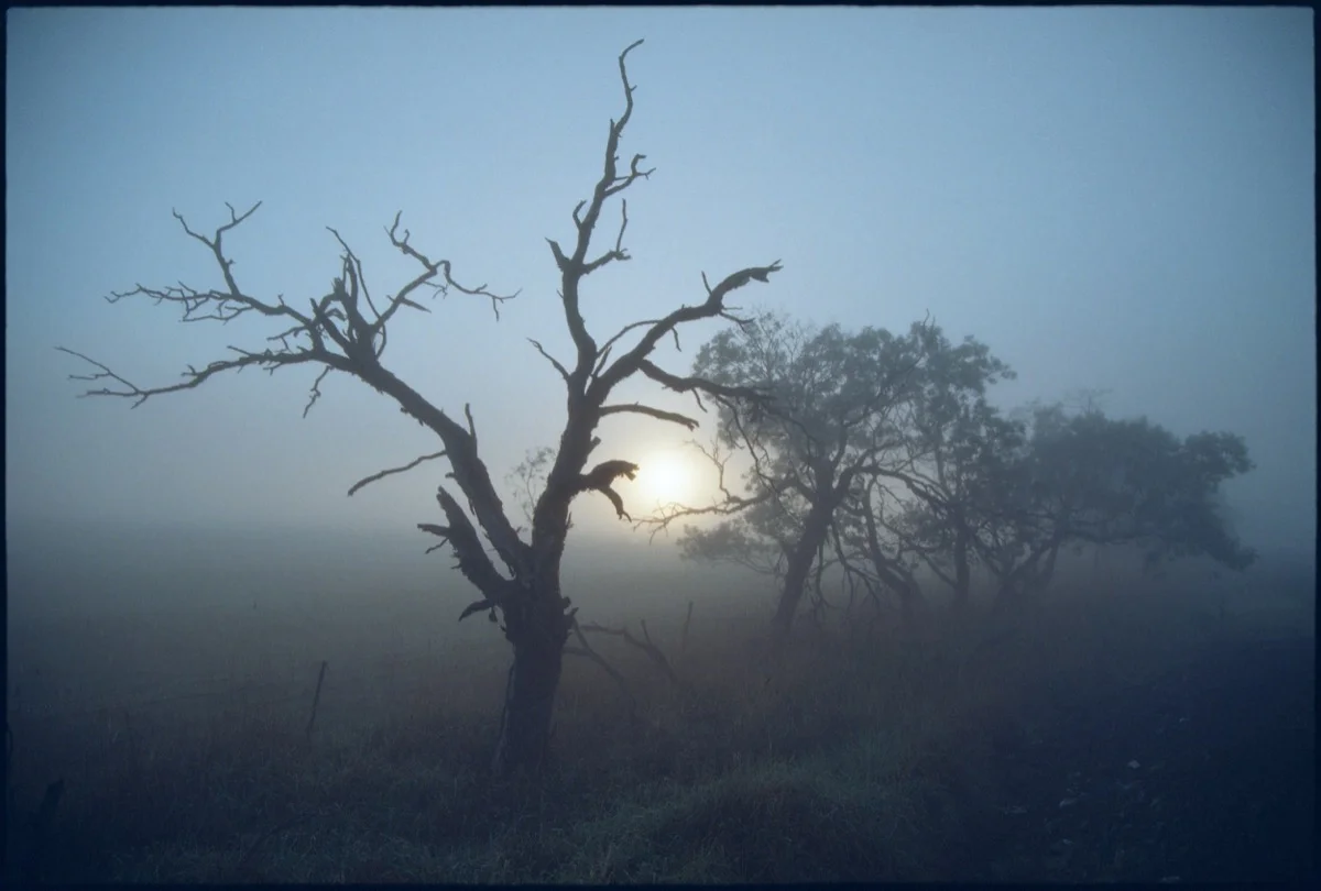 TOAFM-11-Menindee-RT17_064.jpg
