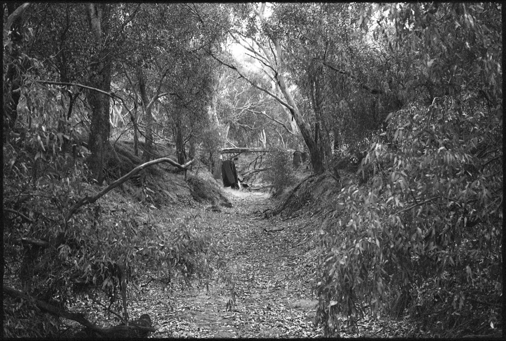 1-Hay-Griffith-18_070.jpg