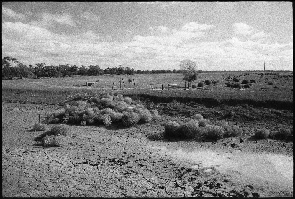 Hay-Griffith-18_108.jpg