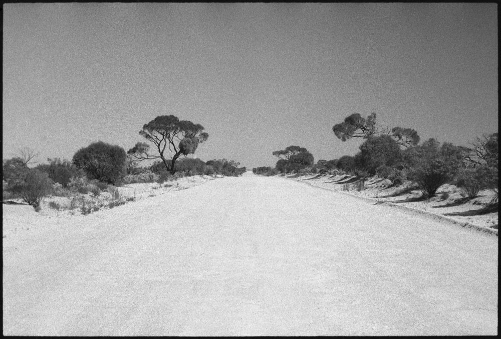 SA-RT '16_281.jpg