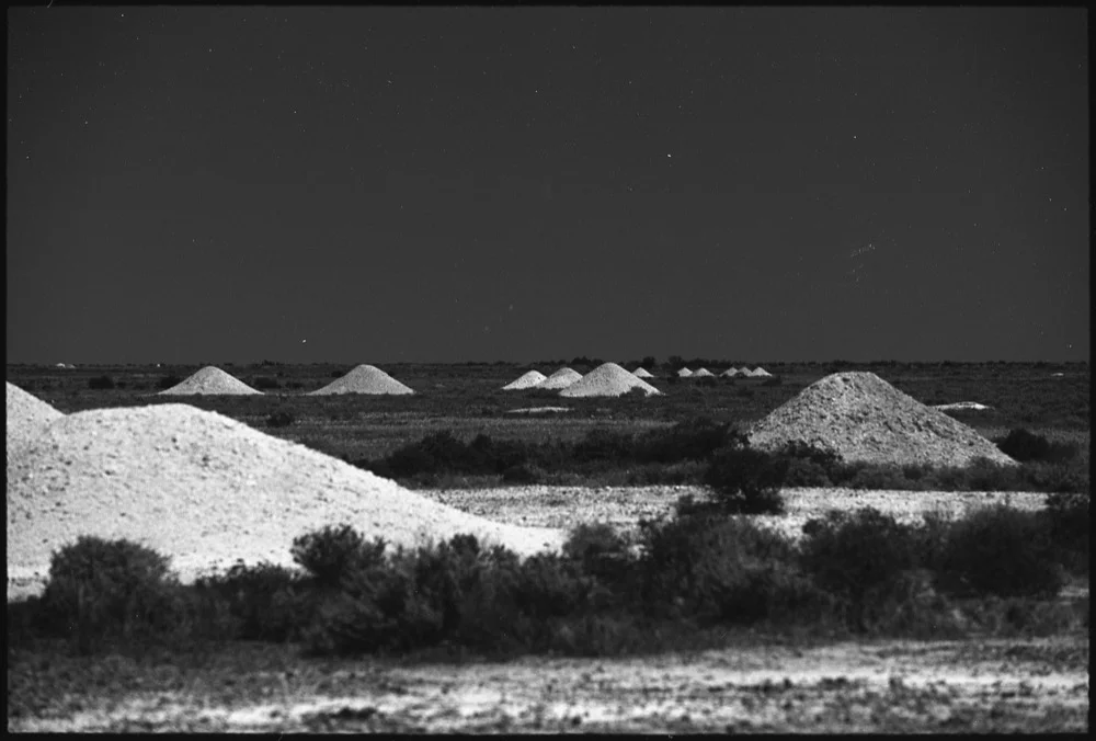 SA-RT '16_168.jpg