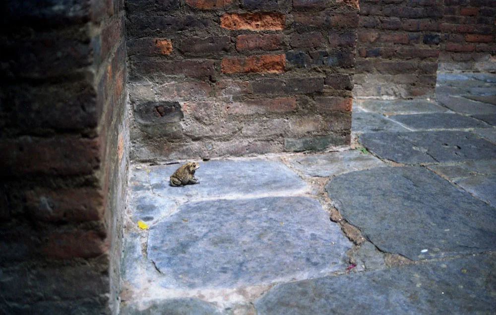 sukhothai_064.jpg