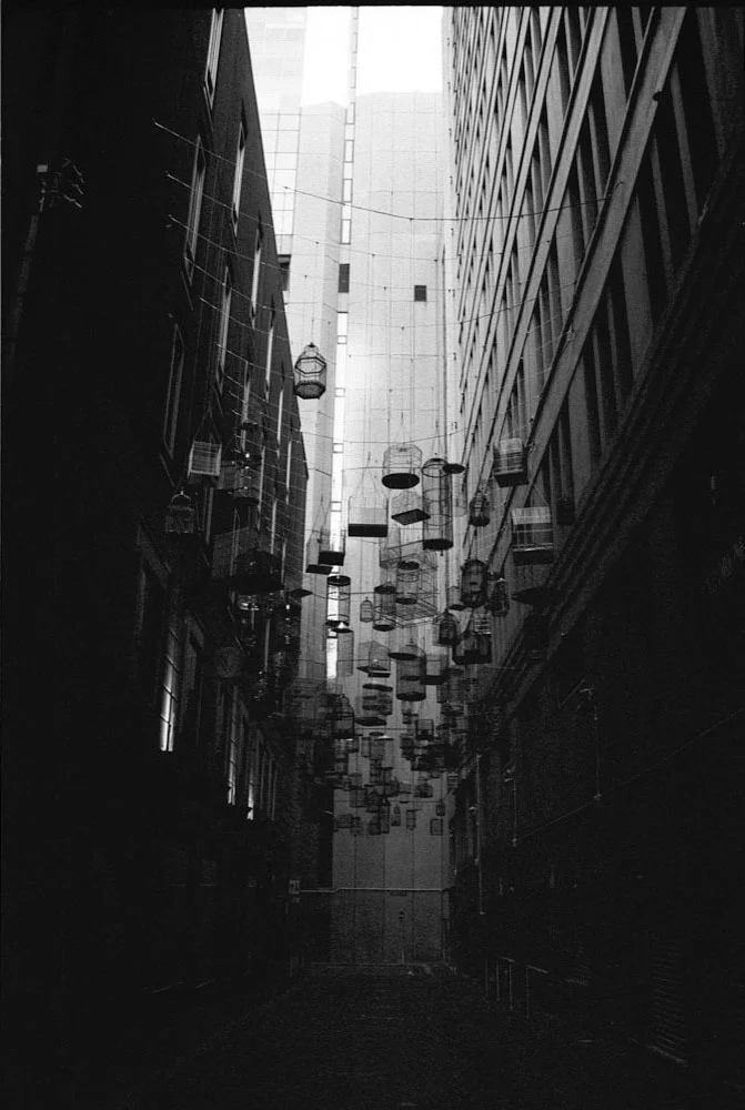 Sydney_277.jpg