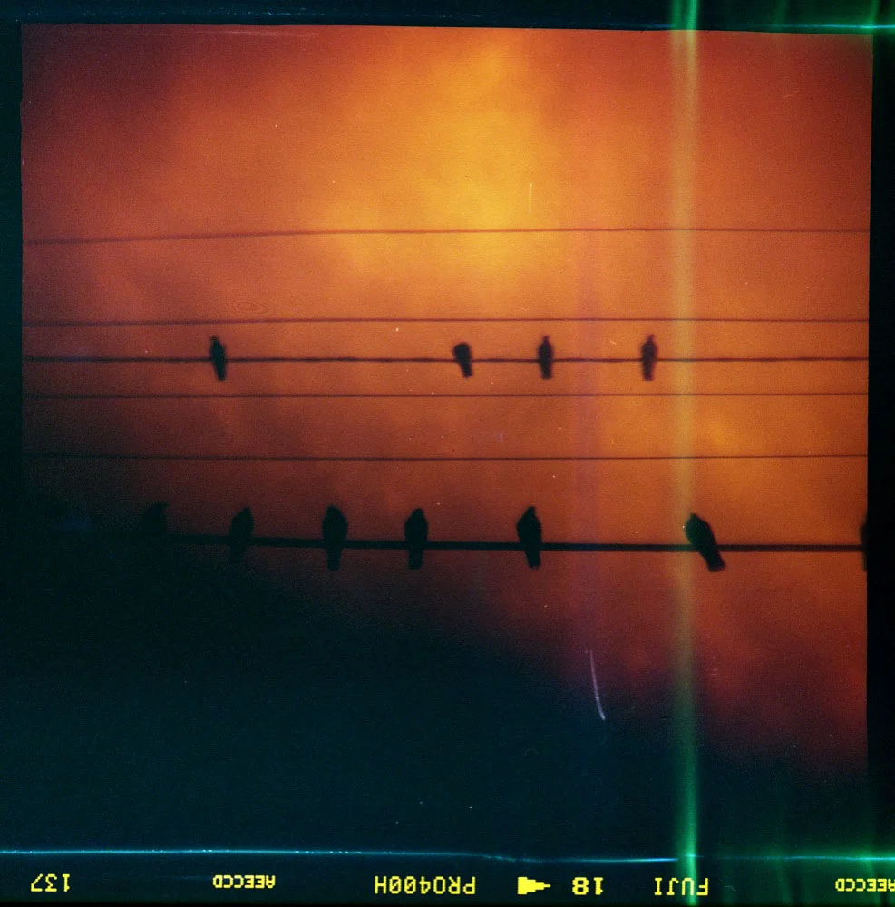 Flexaret_013.jpg