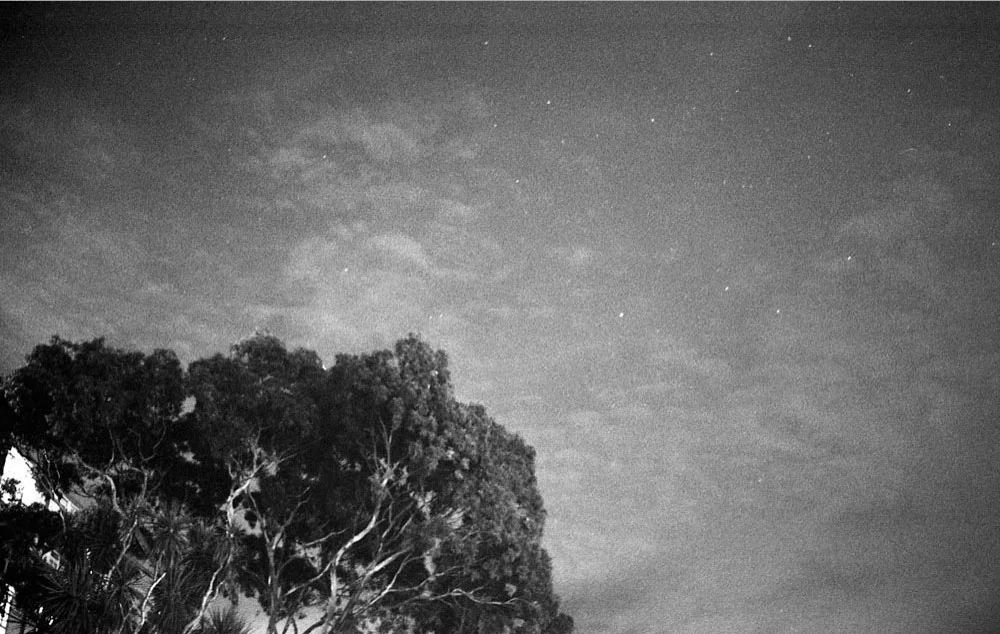 wanganui_042.jpg