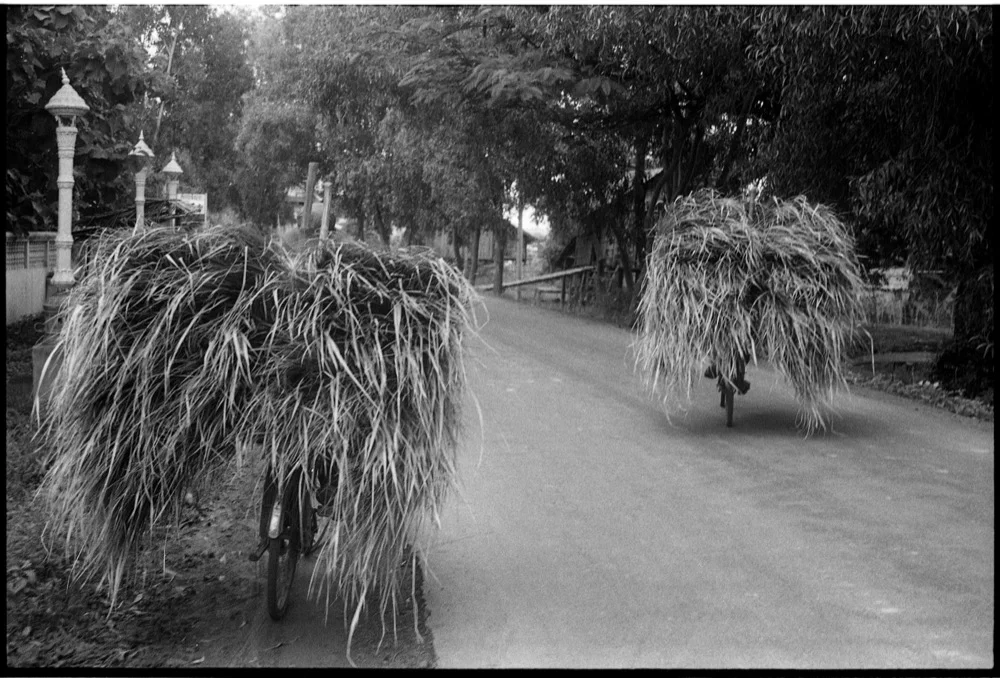 Kompong Cham_009.jpg