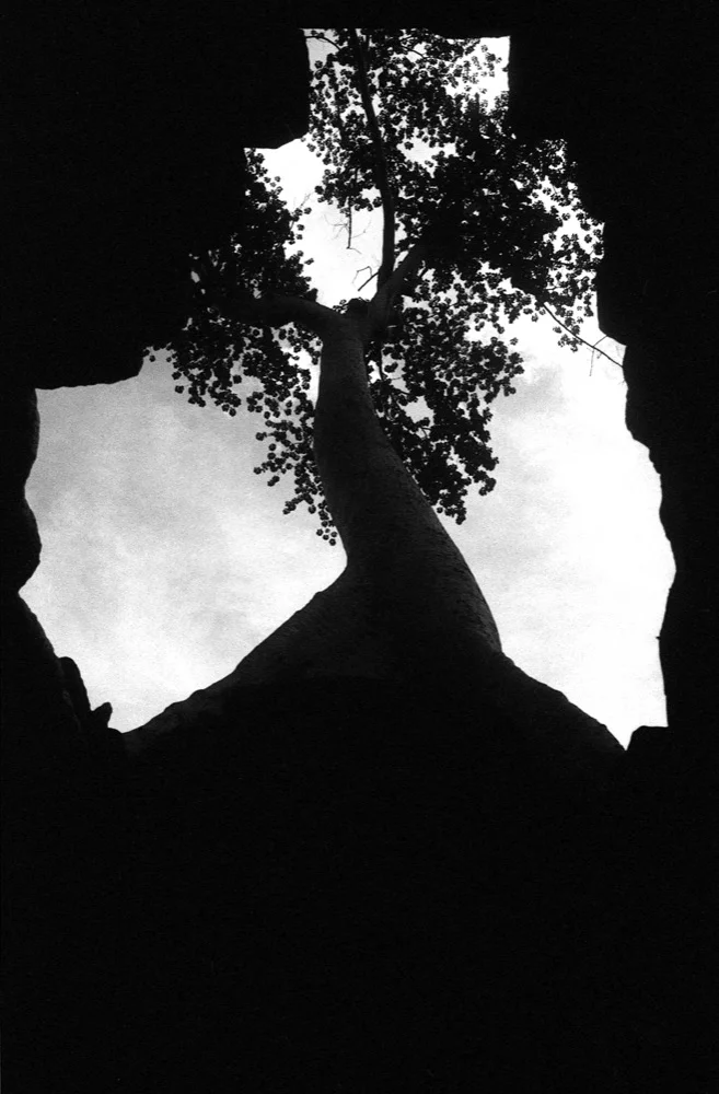 Ta Prohm_010.jpg