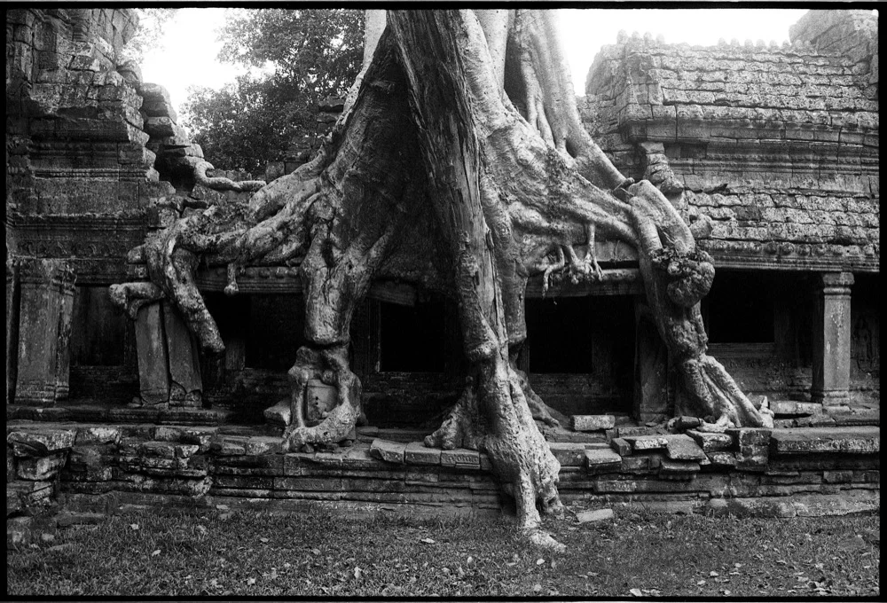 Ta Prohm_013.jpg