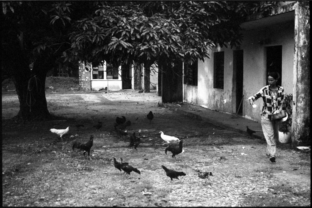 Old Palace_015.jpg