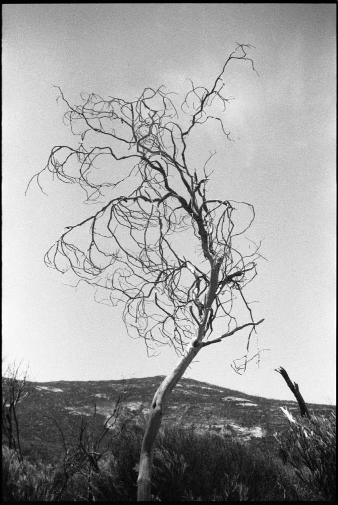 Eyre_018.jpg