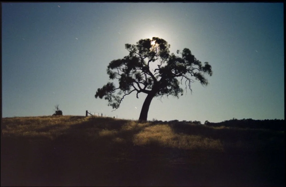 Mansfield_005.jpg