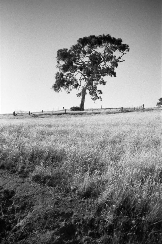 Mansfield_013.jpg