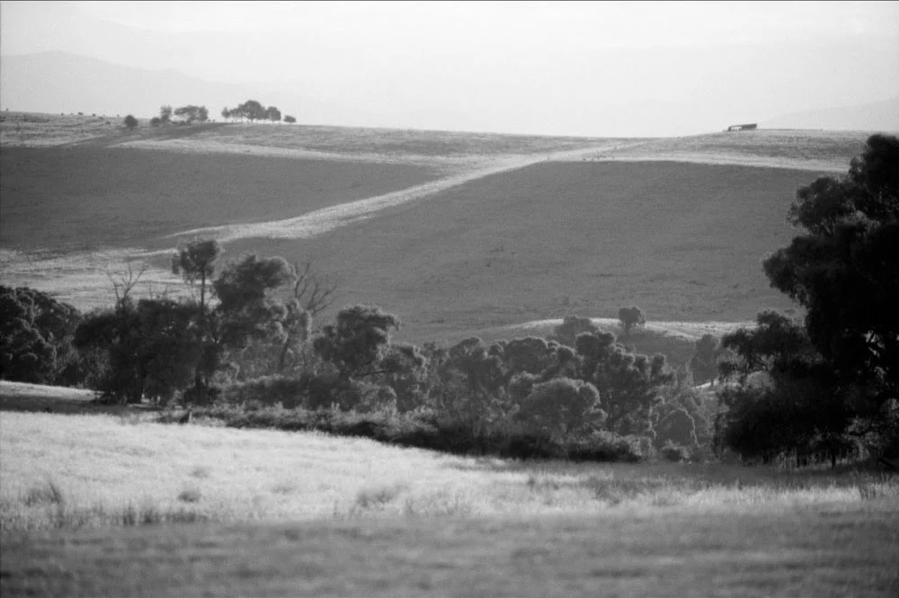 Mansfield_029.jpg