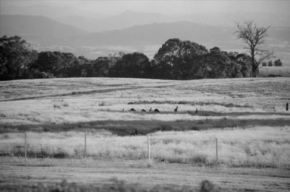 Mansfield_032.jpg