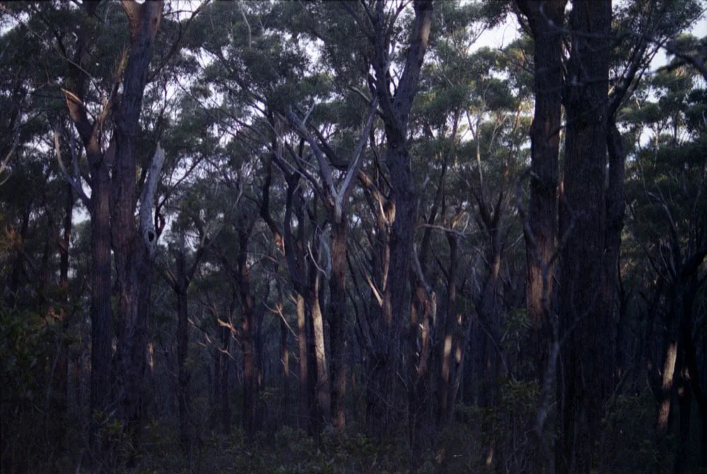 NSW-VIC '13_025.jpg