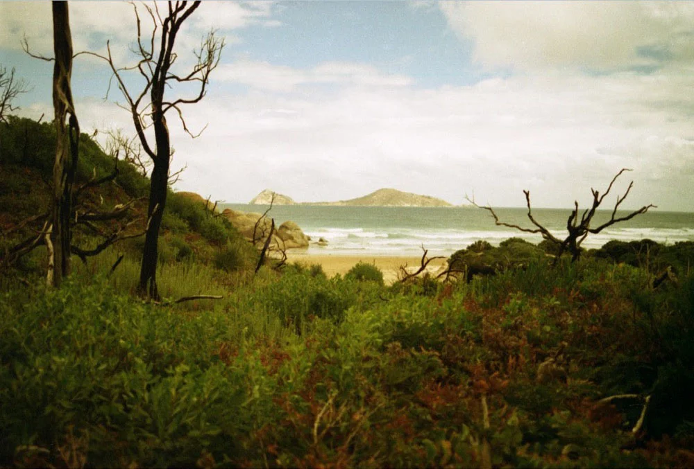 Wilson's Promontory_003.jpg