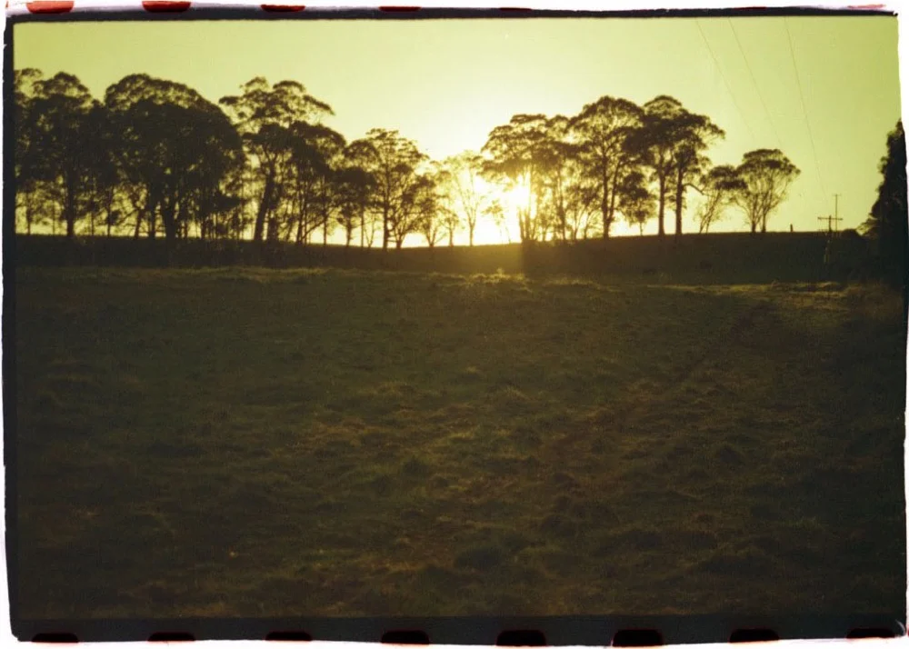 NSW Roadtrip_071.jpg
