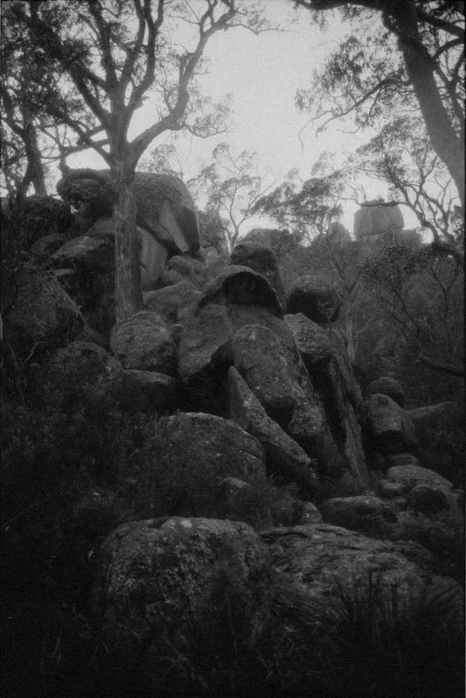 NSW Roadtrip_080.jpg