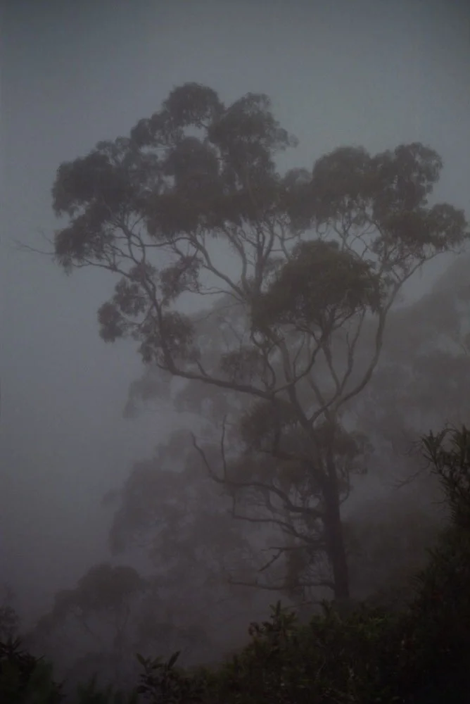 NSW-Roadtrip_024.jpg