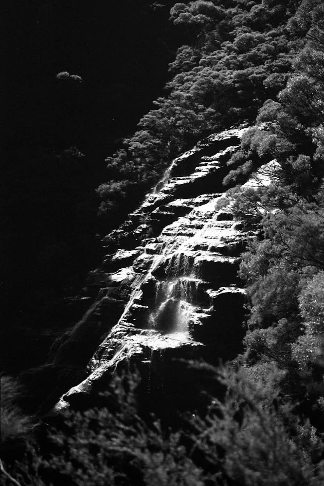 Infrared_015.jpg