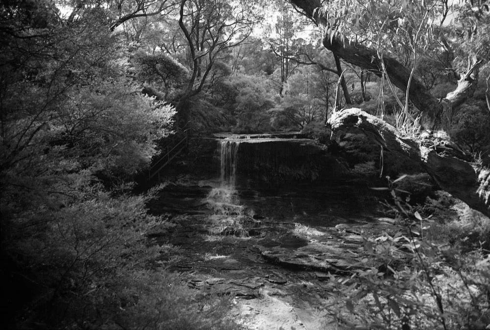 Infrared_013.jpg