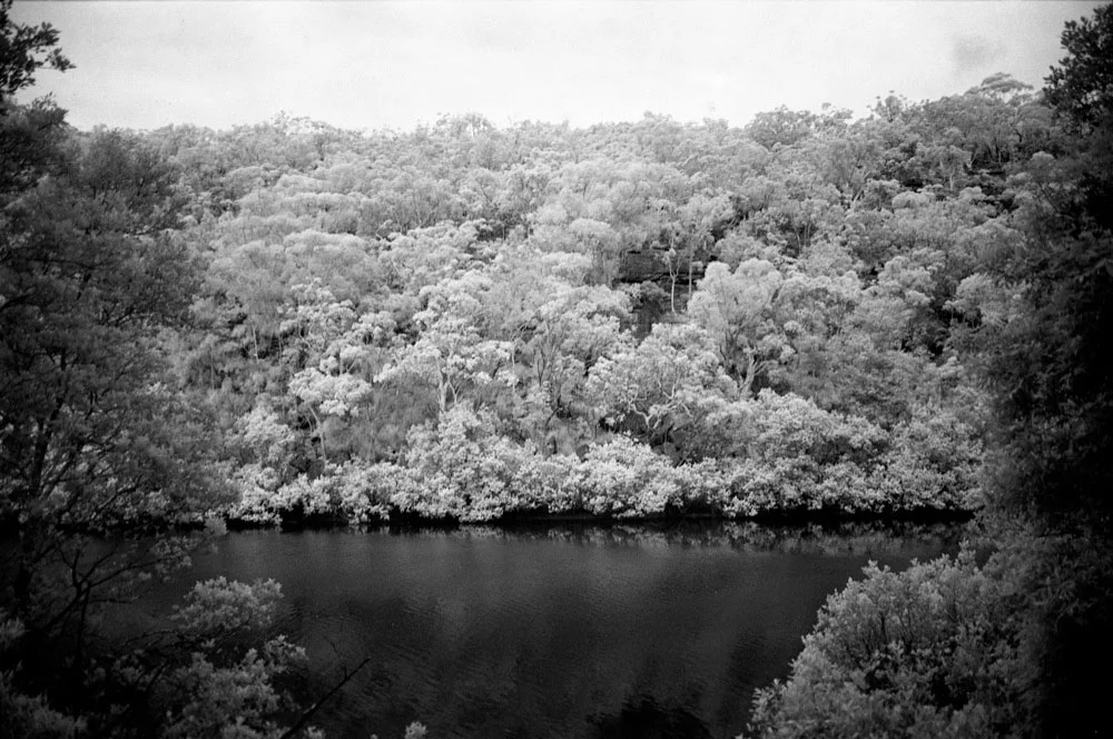 Infrared_039.jpg