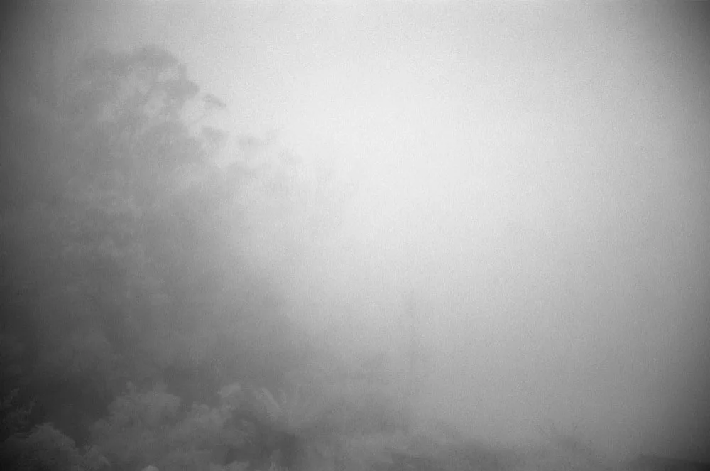 Infrared_040.jpg