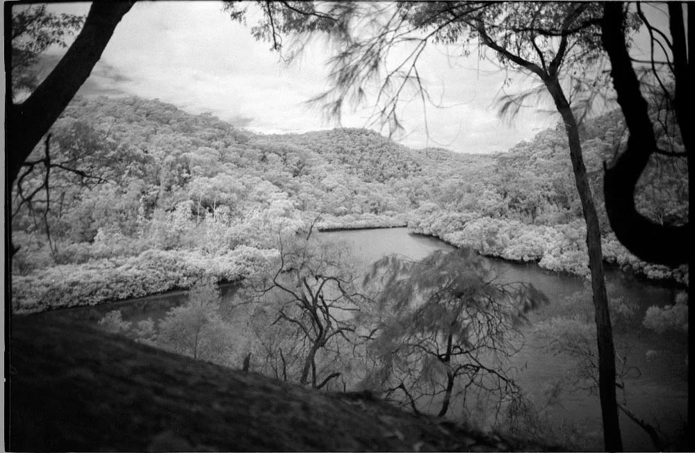 Infrared_043.jpg