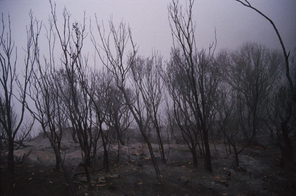 Katoomba_020.jpg