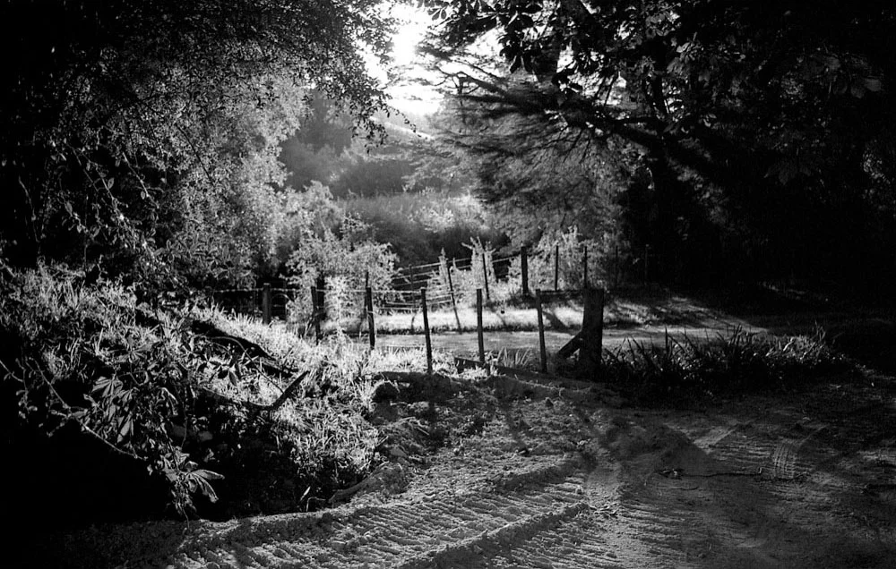 Hawkes Bay_006.jpg