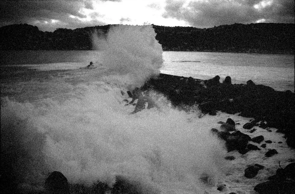 Lyall Bay_003.jpg