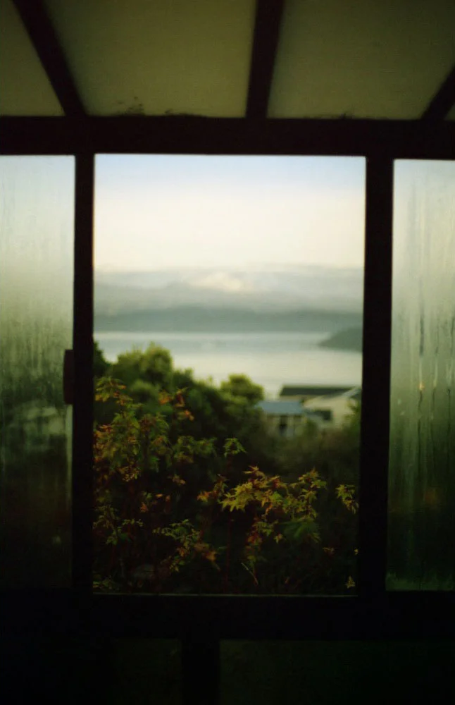 Ranui_012.jpg