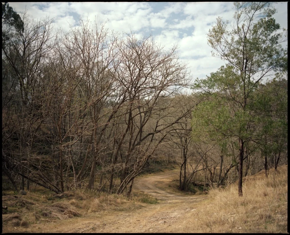 Pilliga & Back_001.jpg