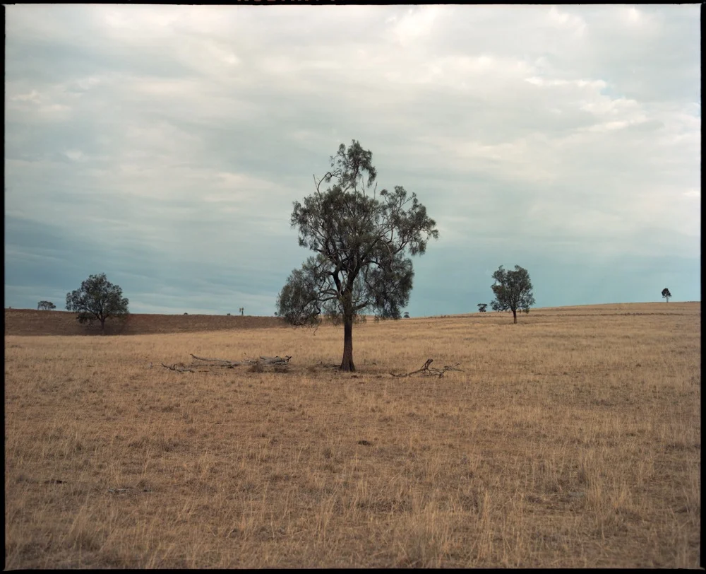 Pilliga & Back_006.jpg