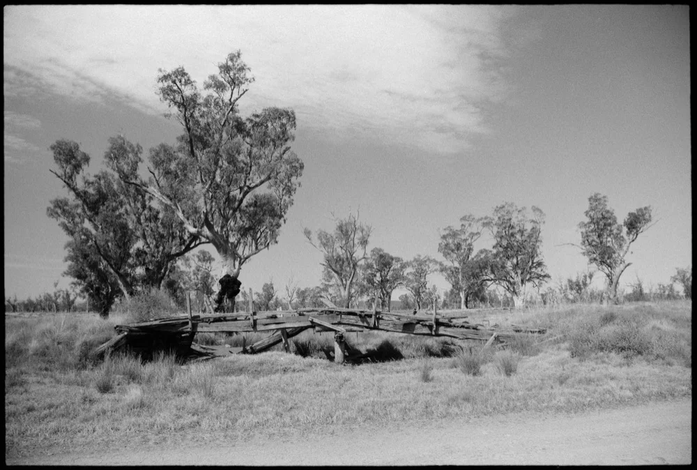 Pilliga & Back_105.jpg