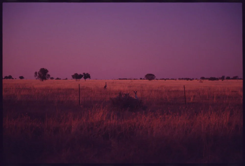 Menindee RT17_186.jpg
