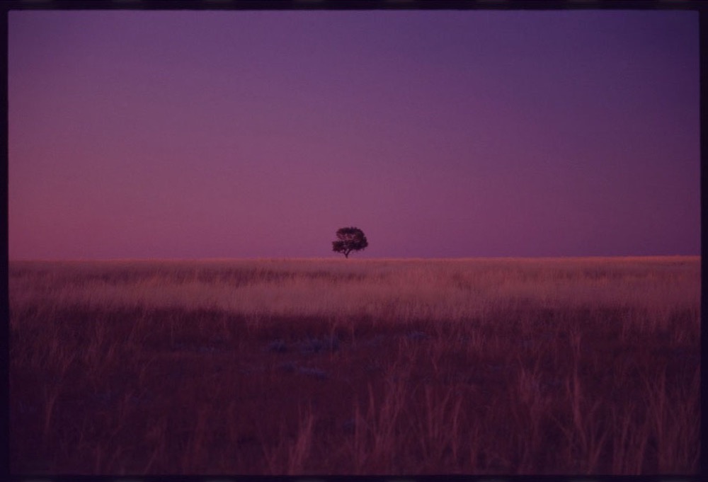 Menindee RT17_190.jpg