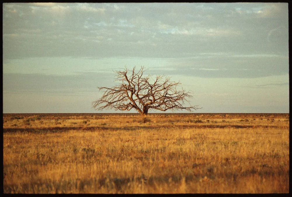 Menindee RT17_225.jpg