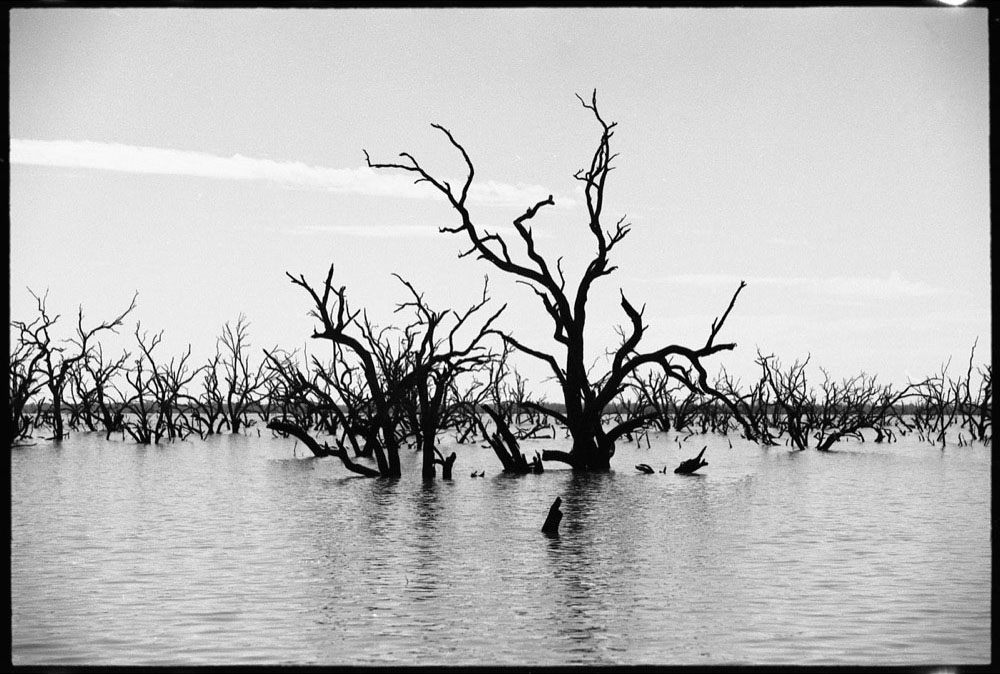 Menindee RT17_233.jpg