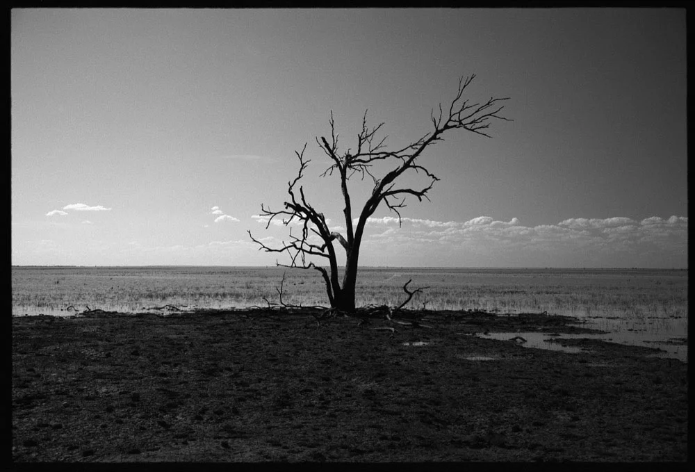 Menindee RT17_258.jpg