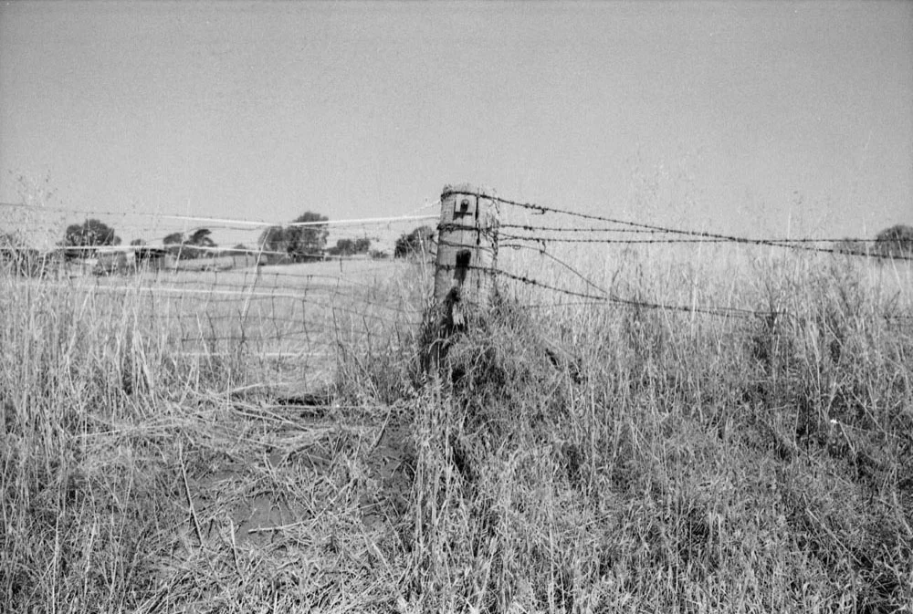 Gundagai_004.jpg