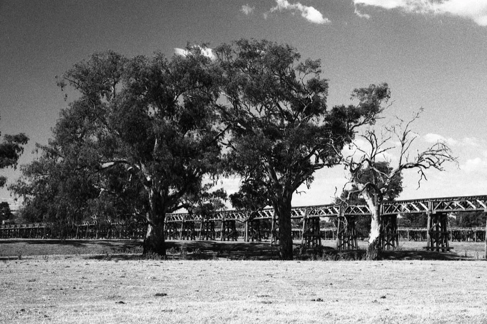 Gundagai_027.jpg