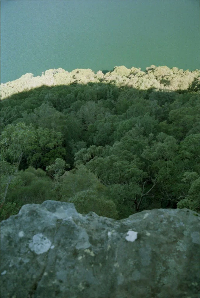 Ku-Ring-Gai_022.jpg