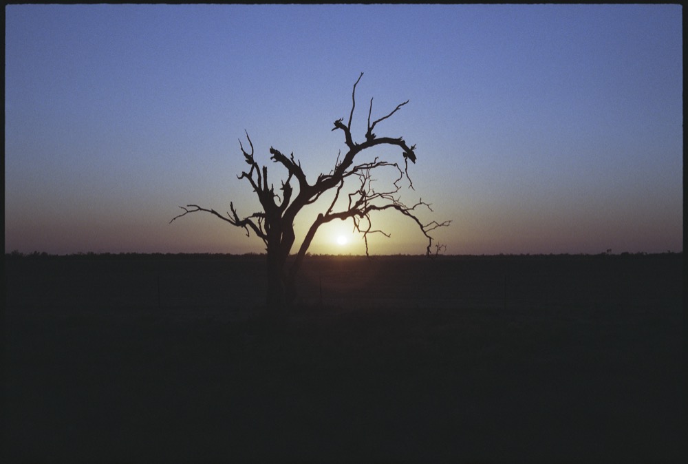 NSW-QLD '18_113.jpg