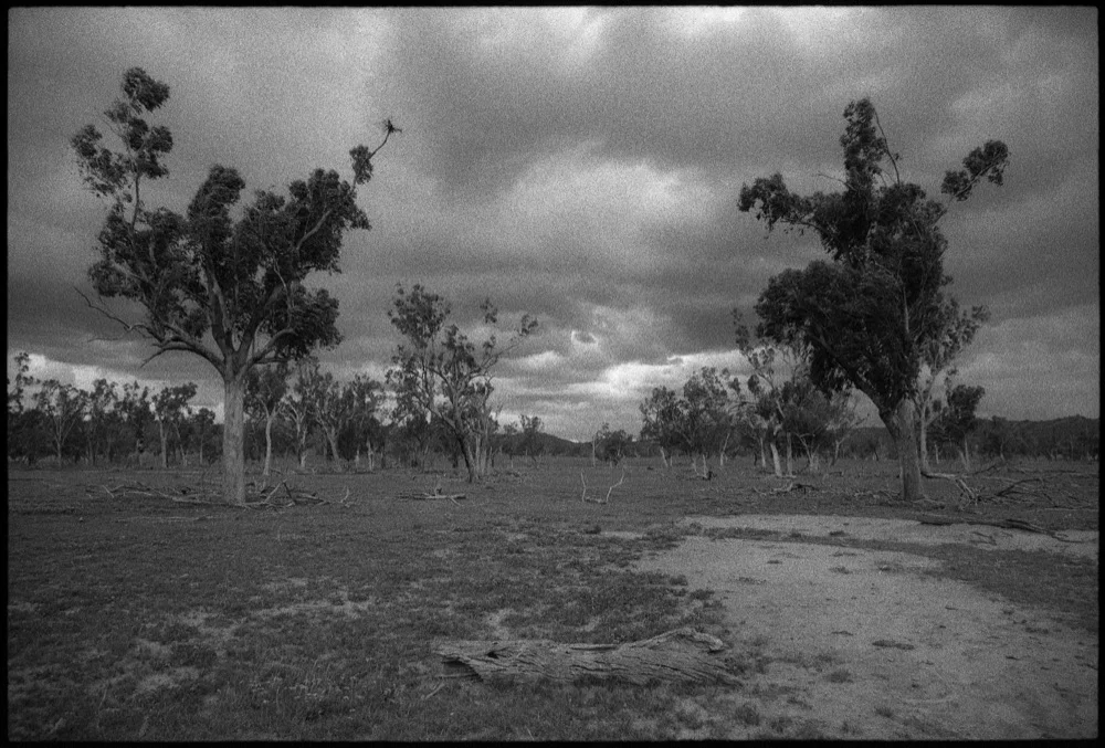 NSW-QLD '18_246.jpg