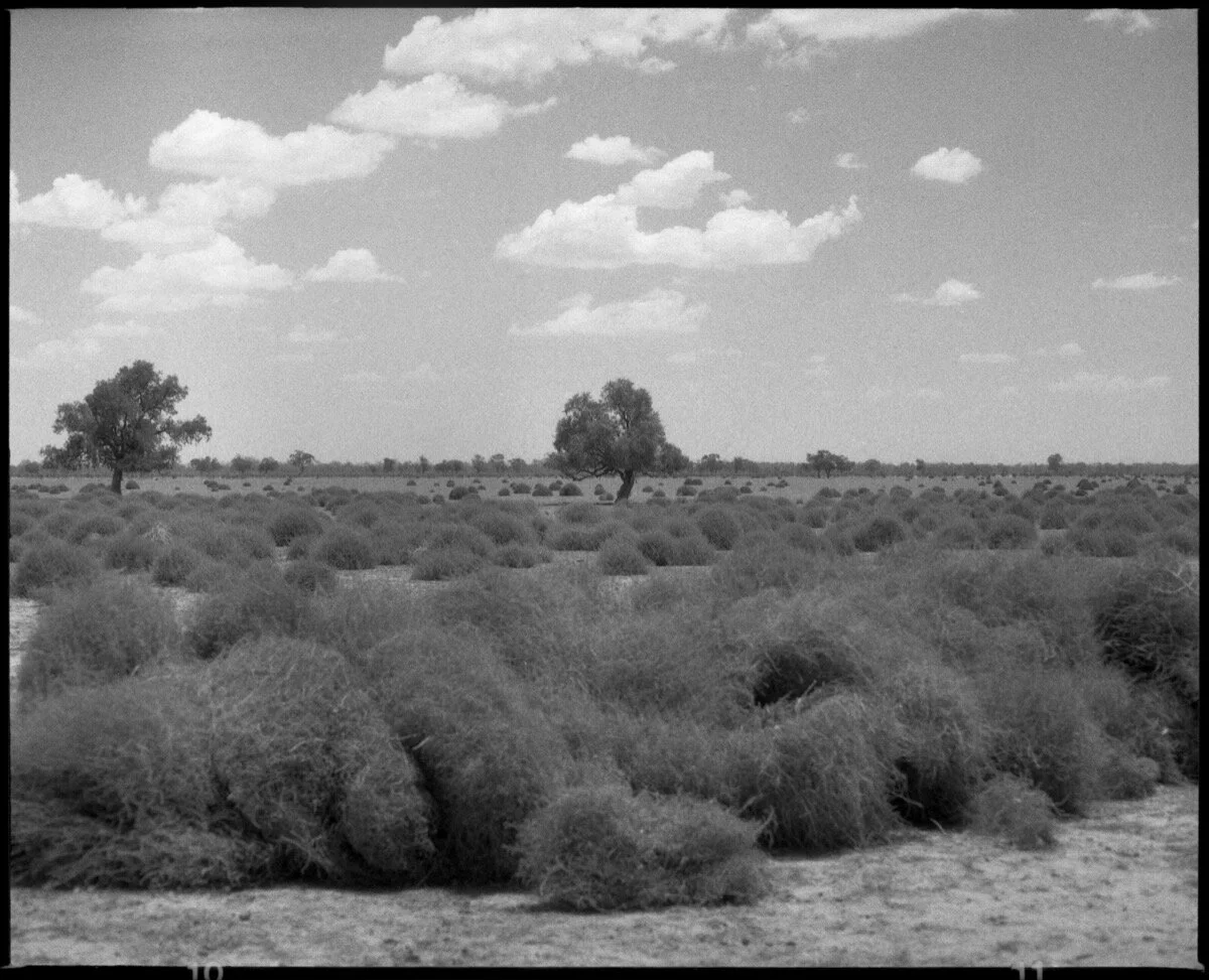 001 NSW-QLD '18_343a.jpg