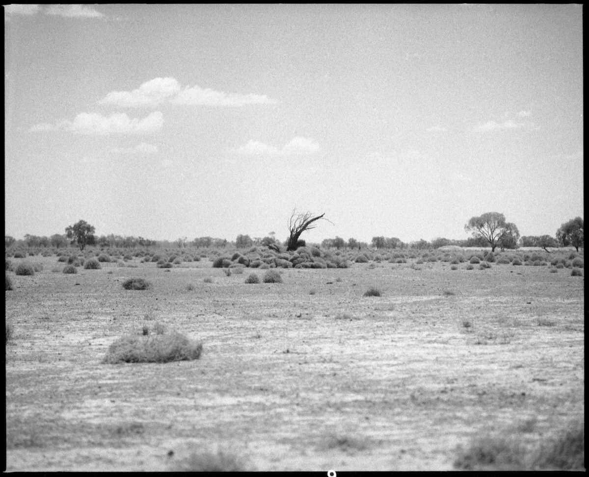 002 NSW-QLD '18_342.jpg
